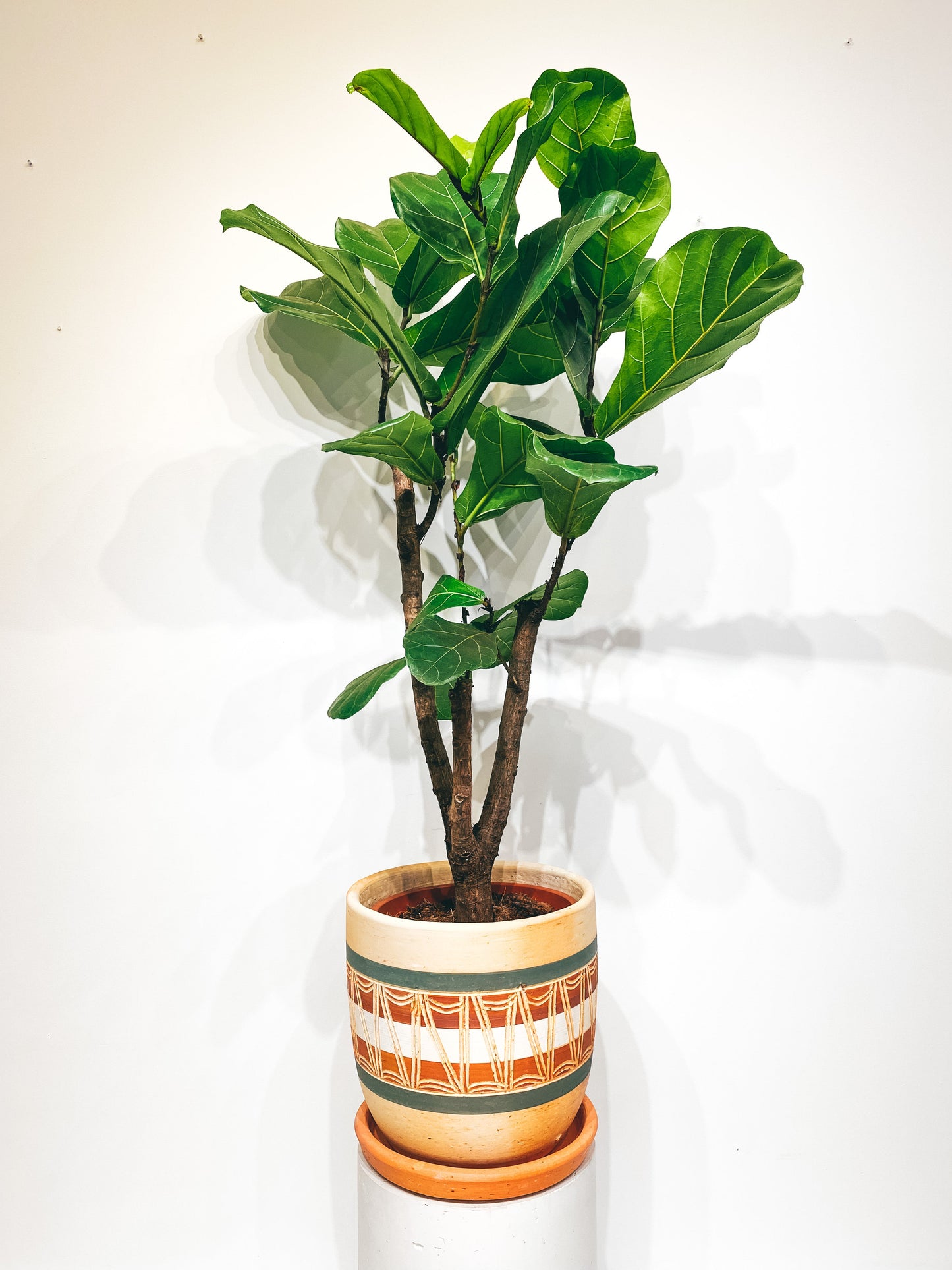 (IN SHOP ONLY!) Black-red-white "new style" engraved high curved terracotta pot N4 - D30 H30