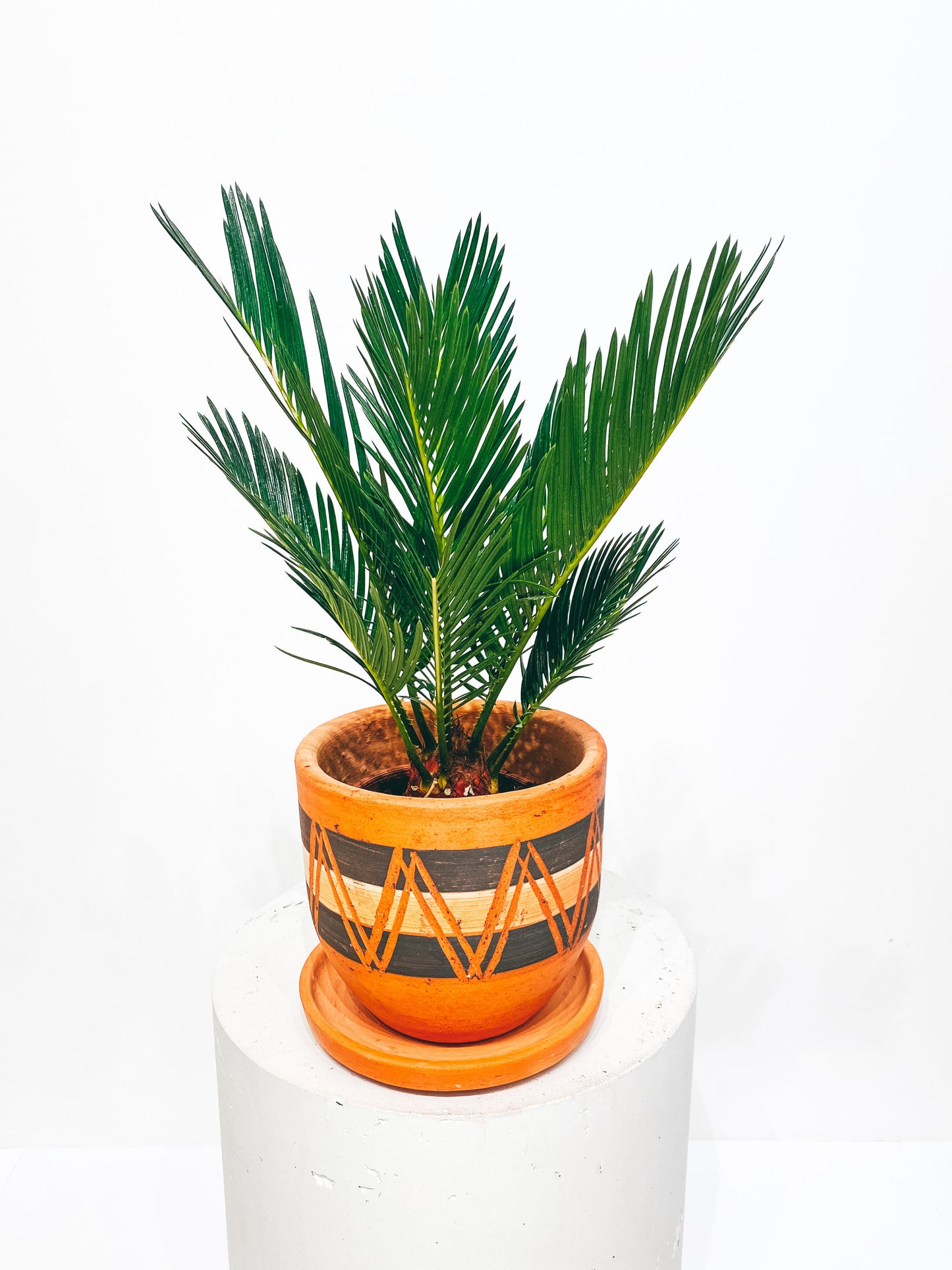 Black-white "new style" engraved high curved terracotta pot N1 - D16 H15