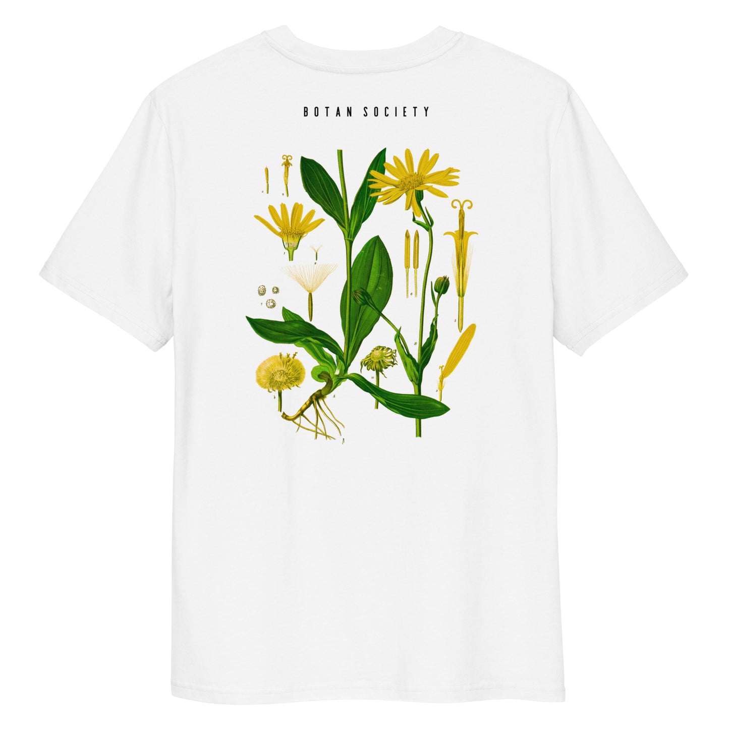 T-shirt Arnica