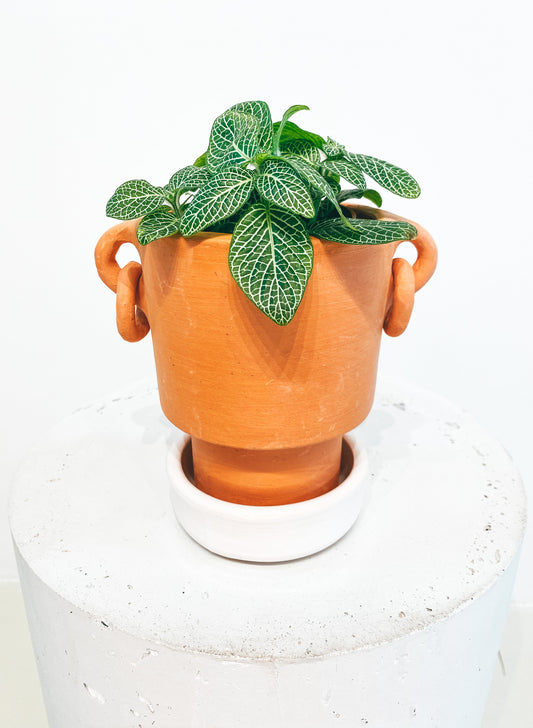 Minimalistische terracotta pot met oorbellen D10 + wit geglazuurde plaat