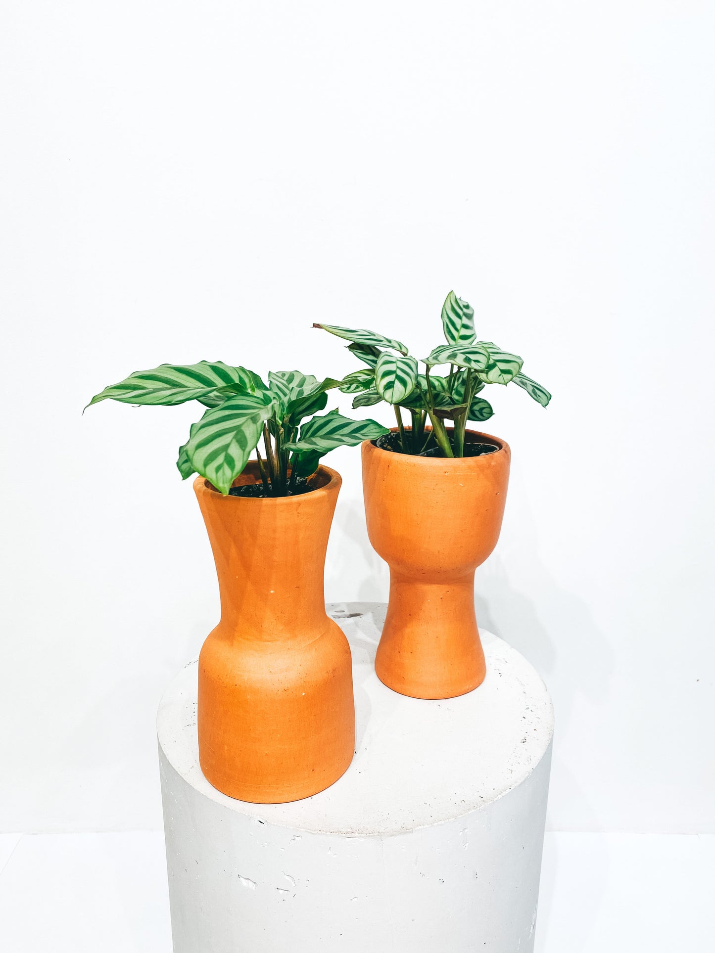 Double reversible terracotta pot D11 H18