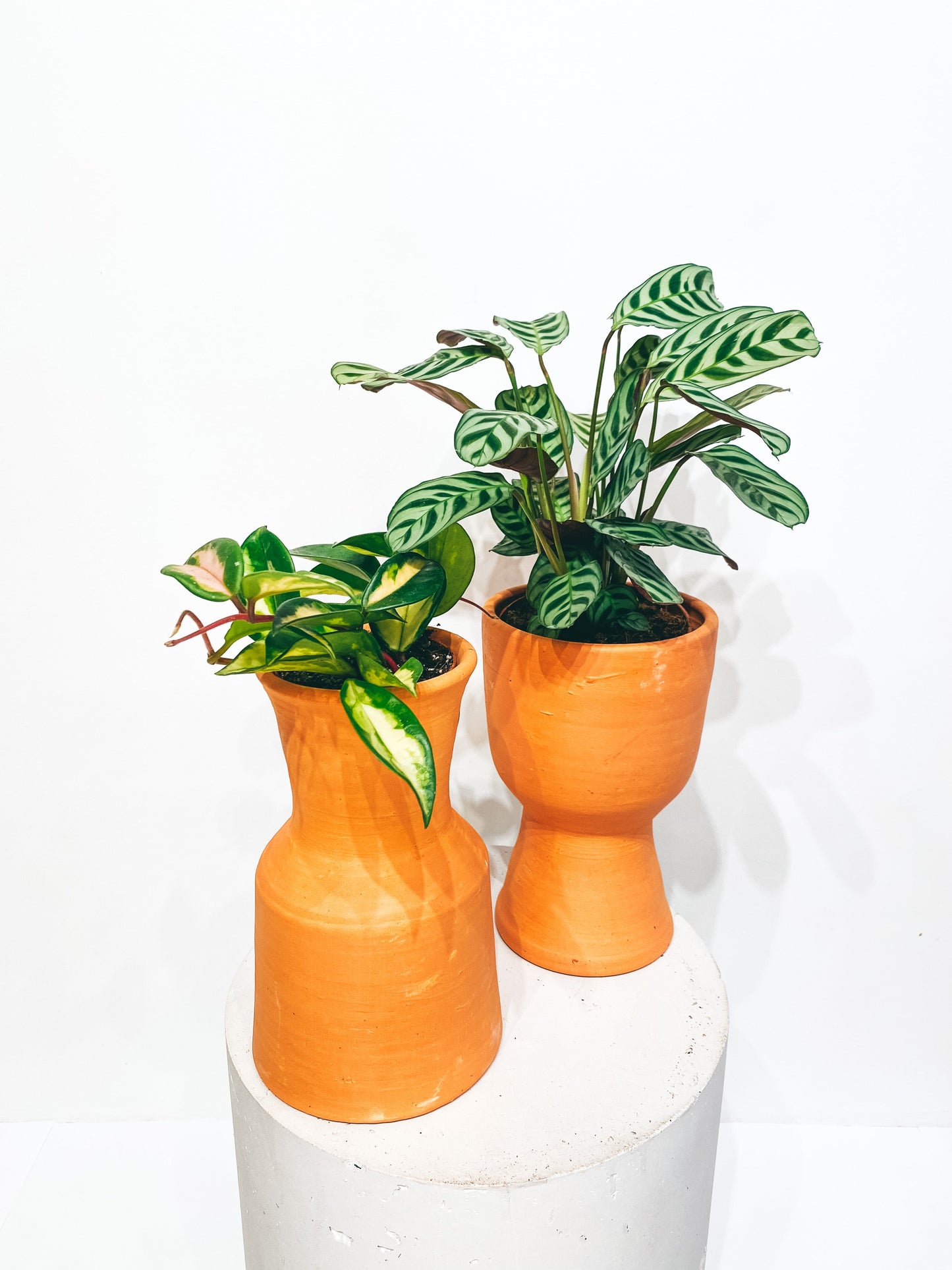 Double reversible terracotta pot D14 H23