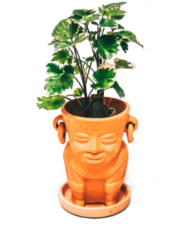 Muisca man face terracotta pot D8 H11